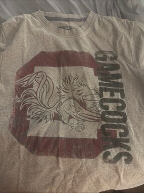 Pressbox Men's Gray Tee with Maroon and Black Gamecock Graphic